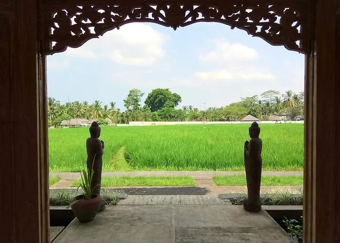 招待所 Ubudsuites 3*